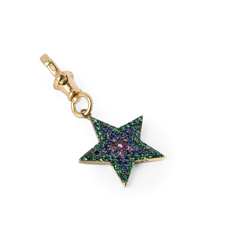 The Rainbow Star