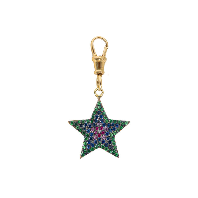 The Rainbow Star