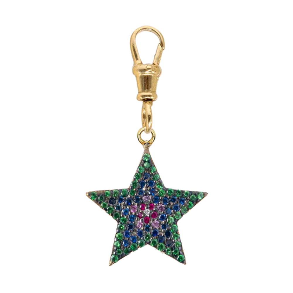 The Rainbow Star